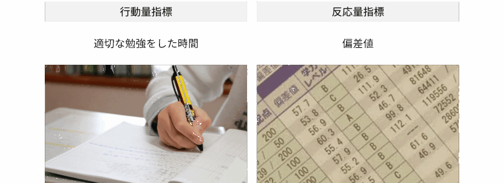 行動量指標と反応量指標の例