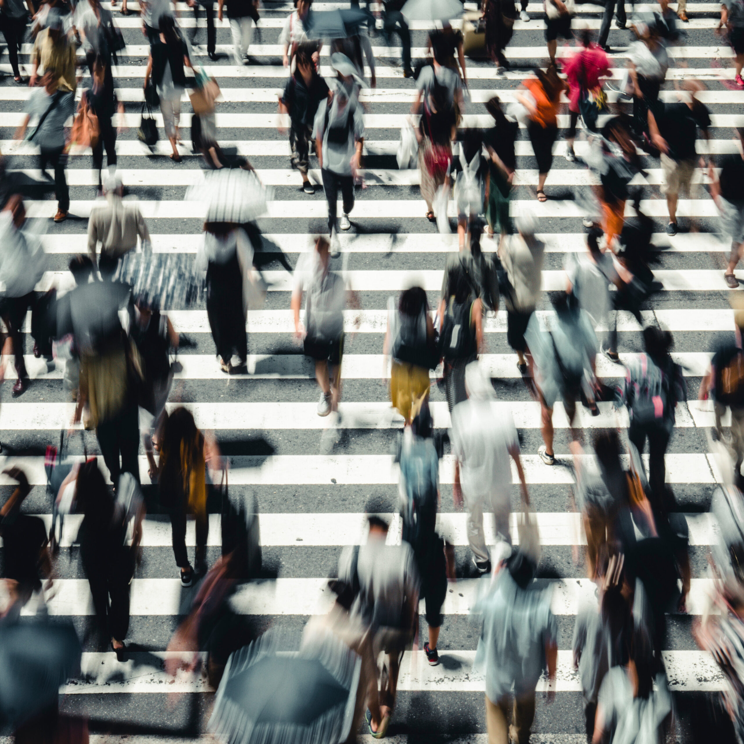Society（社会）