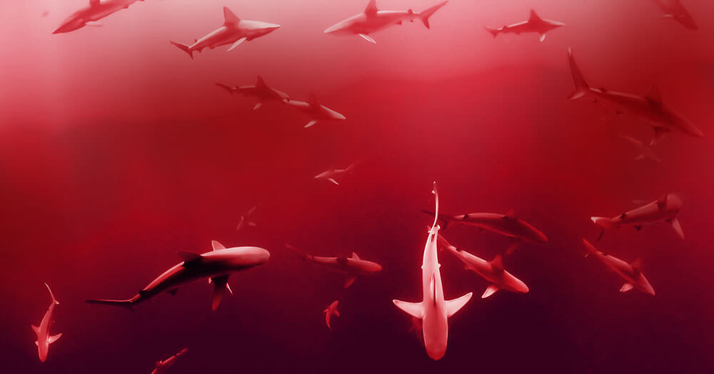 レッドオーシャン