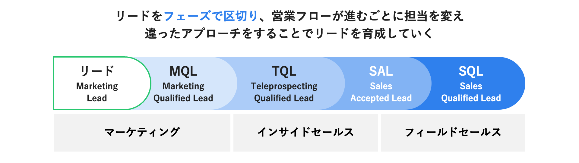 リードのフェーズ分類